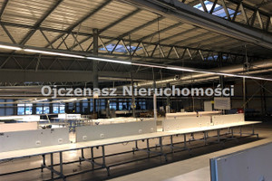 Komercyjne do wynajęcia 1500m2 Bydgoszcz Osowa Góra - zdjęcie 1