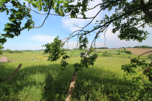 Działka na sprzedaż 961m2 kartuski Somonino Połęczyno - zdjęcie 1