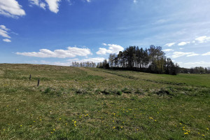 Działka na sprzedaż 1000m2 wejherowski Szemud Kamień Psale - zdjęcie 1