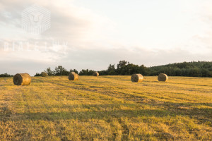 Działka na sprzedaż 7200m2 piaseczyński Piaseczno Głosków - zdjęcie 1