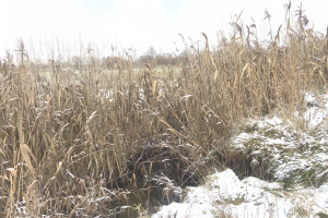 Działka na sprzedaż 7200m2 piaseczyński Piaseczno Głosków - zdjęcie 2