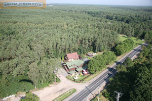 Komercyjne na sprzedaż 180m2 piaseczyński Góra Kalwaria Pęcław - zdjęcie 1