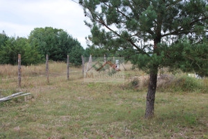 Działka na sprzedaż 1300m2 przasnyski Chorzele Mącice - zdjęcie 1