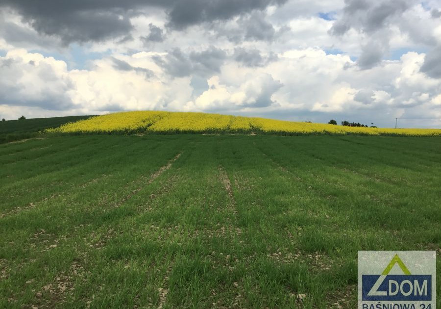 1 ha działka rolna -Kol.Moszna gm.Jastków