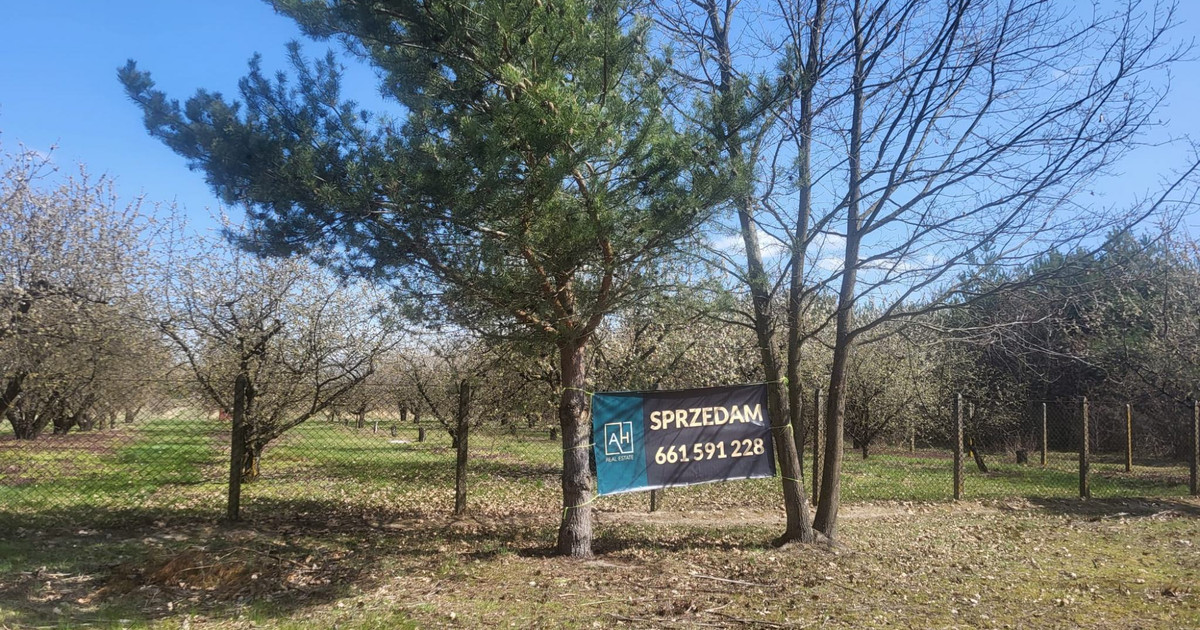 działka budowlana, Przypki, gm Tarczyn, 1406m2