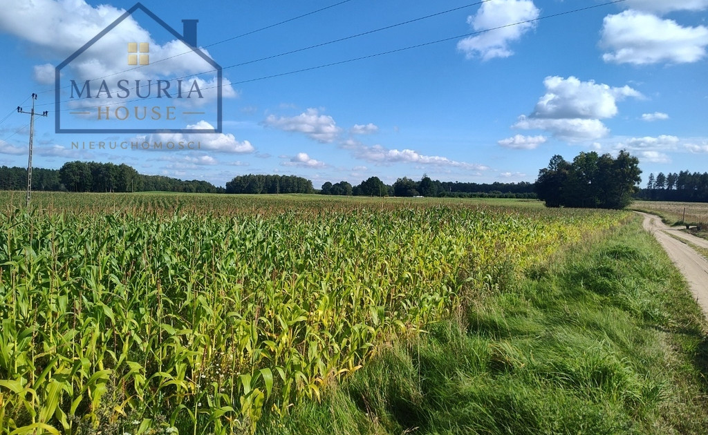 Duża działka rolna - siedliskowa