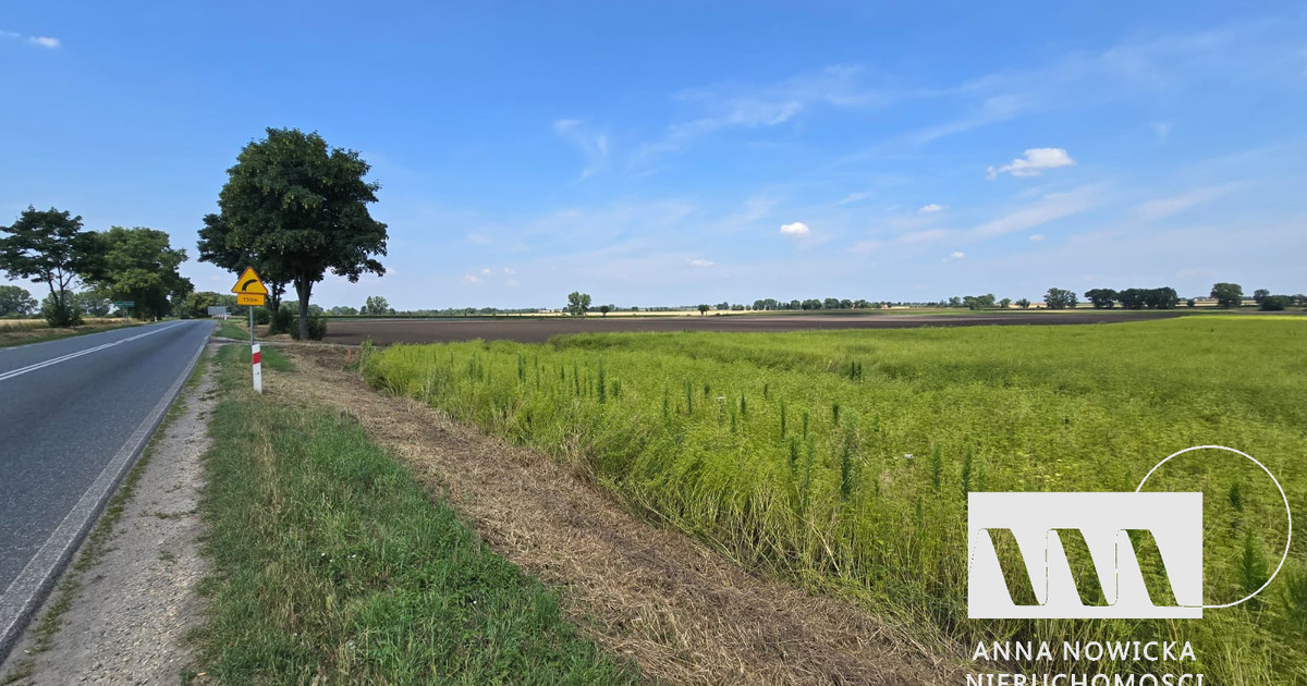 Działka budowlana 45 arów pod inwestycję – Ludów Polski