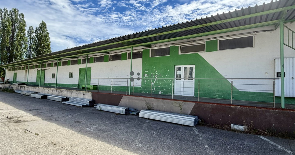 Magazyn 250 m² z rampą Blisko centrum Duży plac
