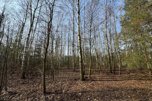 Działka na sprzedaż 1765m2 grodziski Grodzisk Mazowiecki Książenice - zdjęcie 1