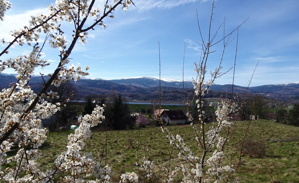 Wyjątkowe ,widokowe dziłaki budowlane w Marczycach