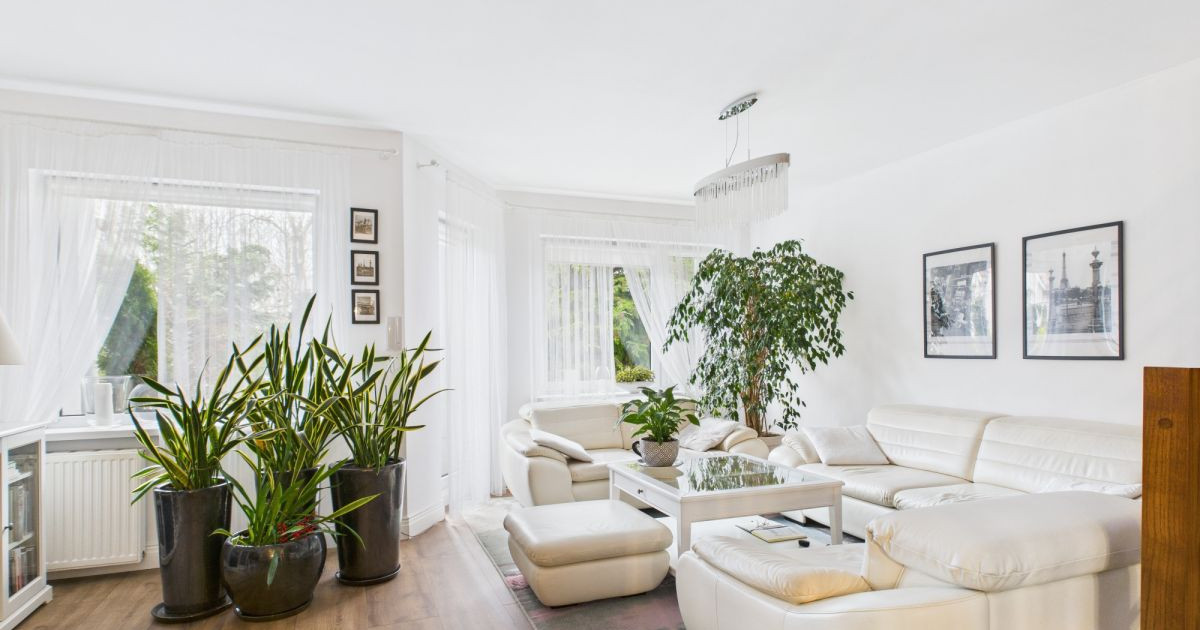 Centrum | Zadbane | 4 sypialnie | Garaż