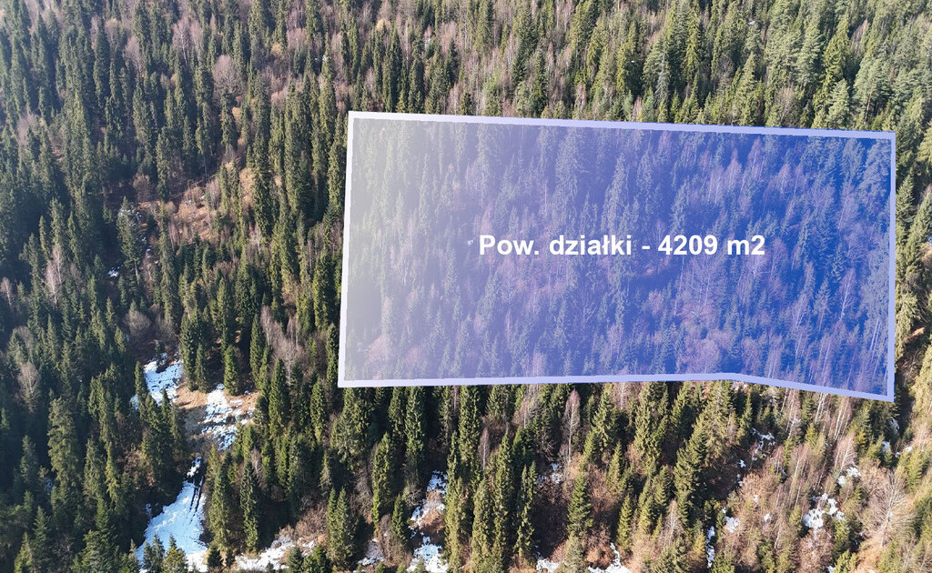 Działka leśna 4209 m² w Ostrowsku