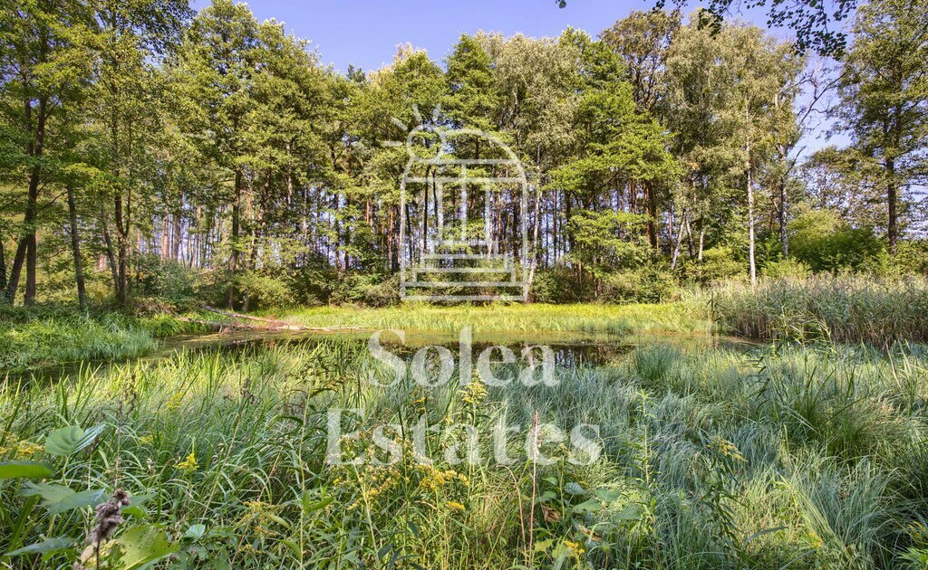 Malownicza działka ze stawem 20 min od Częstochowy