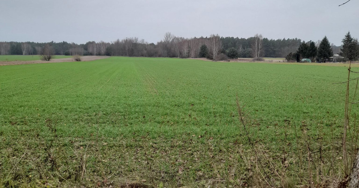 Działka budowlana z gruntem rolnym