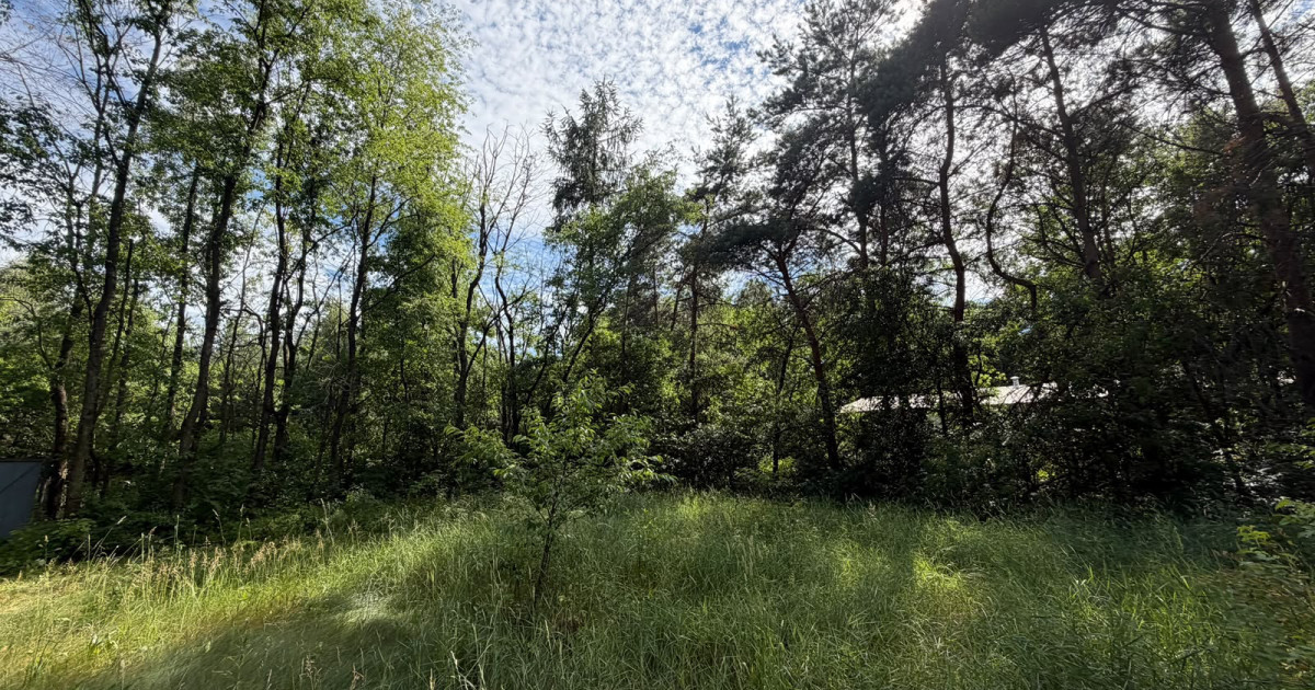 Atrakcyjna działka 3496 m² MPZP Budy Wandalińskie