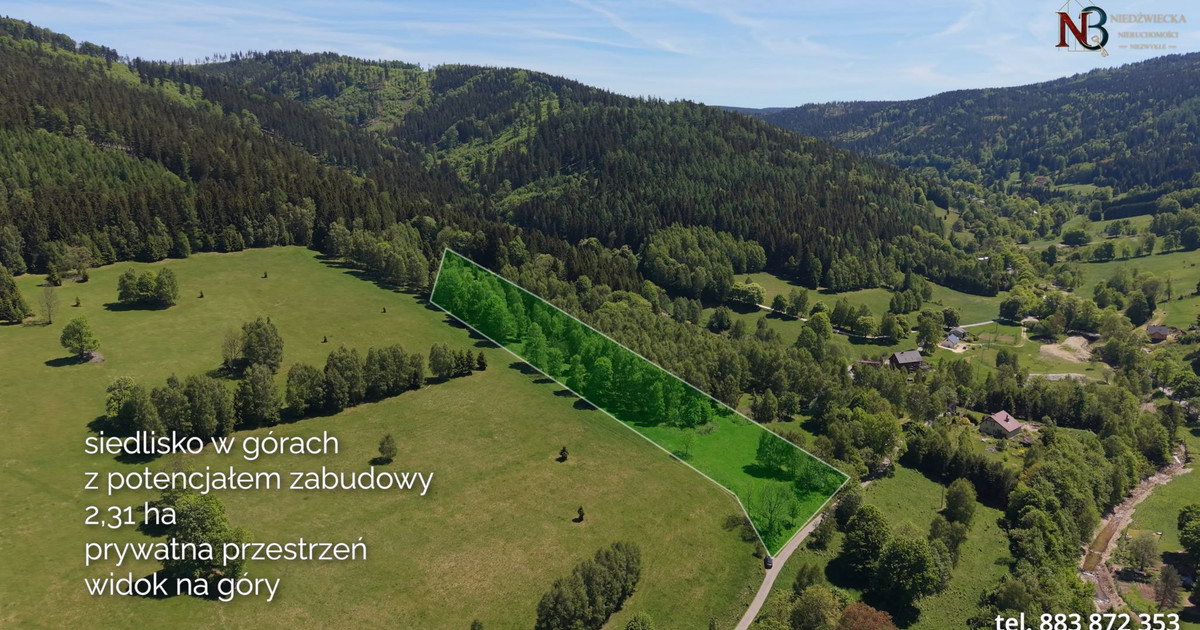 DZIAŁKA BUDOWLANA Z WŁASNYM LASEM W MASYWIE ŚNIEŻNIKA-NOWA MORAWA