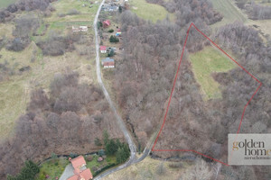 Działka na sprzedaż 11615m2 lubański Leśna Świecie - zdjęcie 3