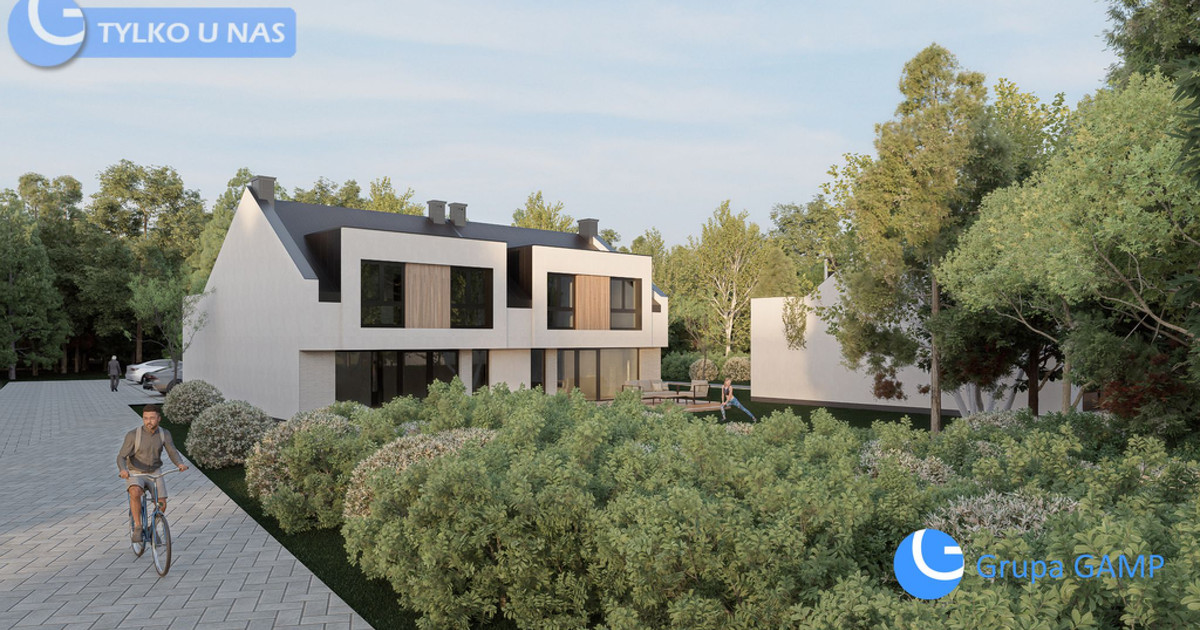 Działka przy Lesie Borkowskim, koncepcja zabudowy