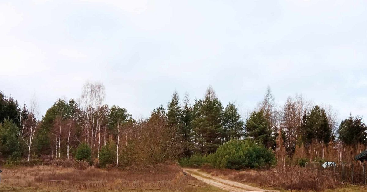 działka pod lasem blisko Białegostoku ze stawem