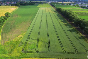 Działka na sprzedaż 9878m2 wrocławski Siechnice Iwiny - zdjęcie 1