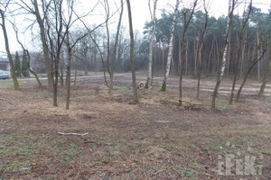 Działka na sprzedaż 1307m2 skierniewicki Kowiesy Jeruzal - zdjęcie 1