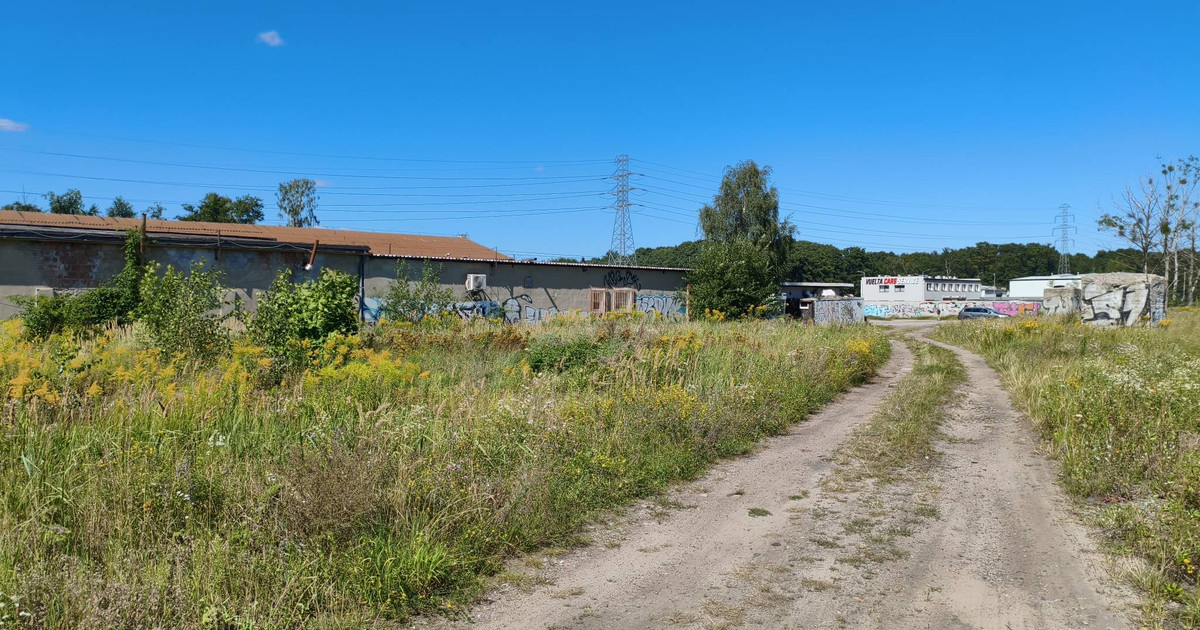 Atrakcyjny grunt nieutwardzony przy ulicy Uczniowskiej - Gdańsk Letnica