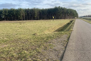 Działka na sprzedaż 7642m2 radomski Jedlińsk Jedlanka - zdjęcie 1