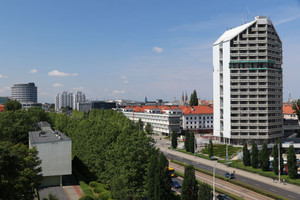 Mieszkanie do wynajęcia 13m2 Wrocław Pasteura - zdjęcie 3