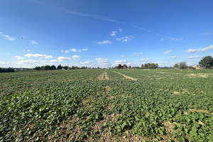 Działka na sprzedaż 7388m2 lubelski Konopnica Zemborzyce Podleśne - zdjęcie 3