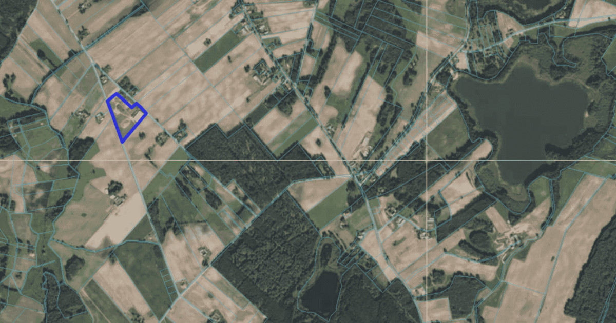 Malownicza działka wśród lasów – Lubcza