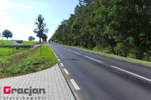 Działka na sprzedaż 1610m2 obornicki Oborniki Dąbrówka Leśna Dąbrówka Leśna - zdjęcie 3