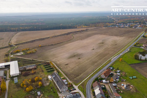 Działka na sprzedaż 10001m2 bydgoski Dąbrowa Chełmińska Ostromecko - zdjęcie 1