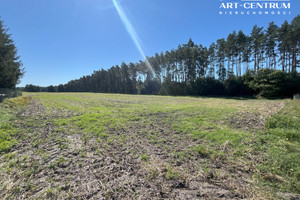 Działka na sprzedaż 1030m2 toruński Zławieś Wielka Zarośle Cienkie - zdjęcie 1