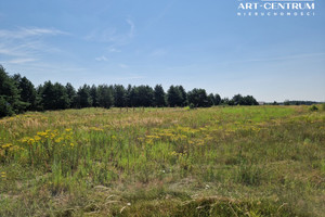 Działka na sprzedaż 1166m2 bydgoski Białe Błota Łochowo - zdjęcie 2