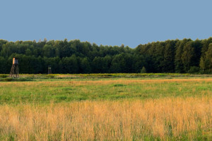 Działka na sprzedaż 8618m2 pszczyński Suszec Kobielice - zdjęcie 1