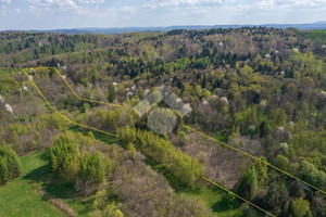 Działka na sprzedaż 261000m2 bocheński Bochnia Kiebłołazowskie - zdjęcie 2