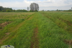 Działka na sprzedaż 5600m2 dąbrowski Szczucin Lubasz - zdjęcie 1