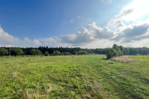 Działka na sprzedaż 1200m2 lubański Leśna Świecie - zdjęcie 1