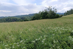 Działka na sprzedaż wałbrzyski Walim - zdjęcie 3