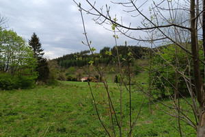 Działka na sprzedaż kamiennogórski Kamienna Góra Ogorzelec - zdjęcie 3