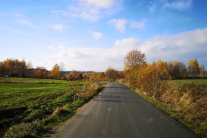 Działka na sprzedaż 5700m2 kamiennogórski Kamienna Góra Pisarzowice - zdjęcie 1