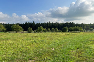 Działka na sprzedaż 1200m2 lubański Leśna Świecie - zdjęcie 3