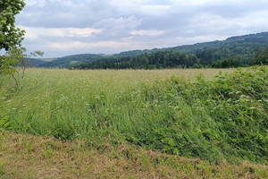 Działka na sprzedaż wałbrzyski Walim - zdjęcie 2