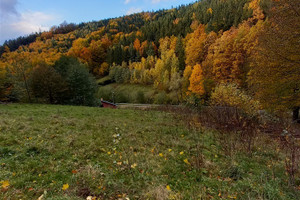 Działka na sprzedaż 8830m2 wałbrzyski Walim Michałkowa - zdjęcie 1