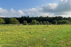 Działka na sprzedaż 1200m2 lubański Leśna Świecie - zdjęcie 2