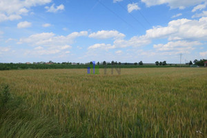 Działka na sprzedaż 3000m2 wrocławski Czernica Ratowice - zdjęcie 1