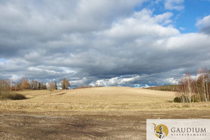 Działka na sprzedaż 3214m2 kartuski Przodkowo Kobysewo - zdjęcie 1