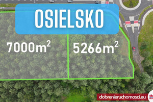 Działka na sprzedaż 5266m2 bydgoski Osielsko - zdjęcie 1