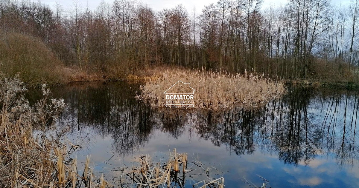 Działka rekreacyjna z własnym stawem