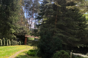 Dom na sprzedaż 90m2 grodziski Żabia Wola Władysławów - zdjęcie 3